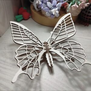 DIY Mechanical Butterfly Model