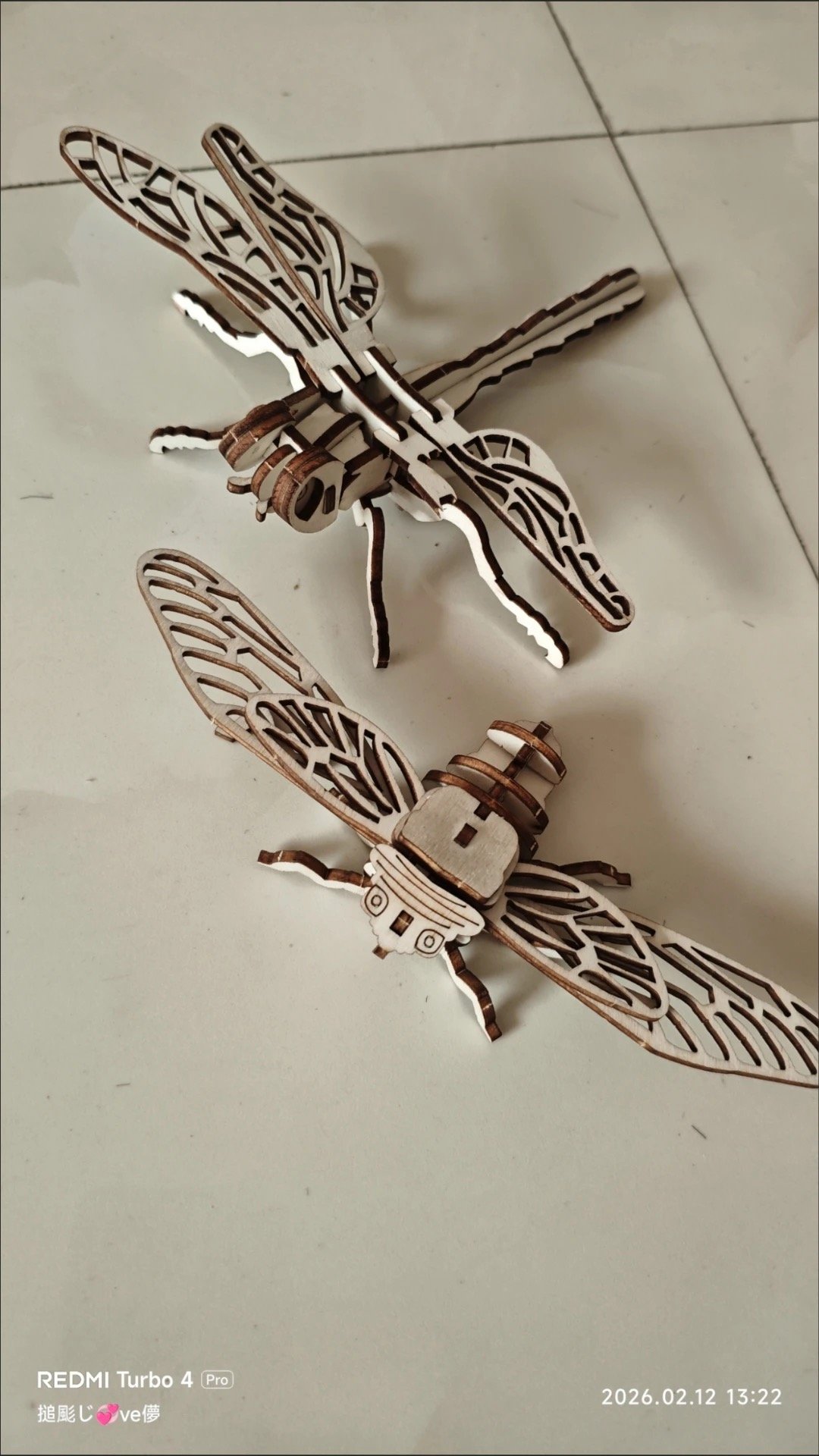 flies flies
