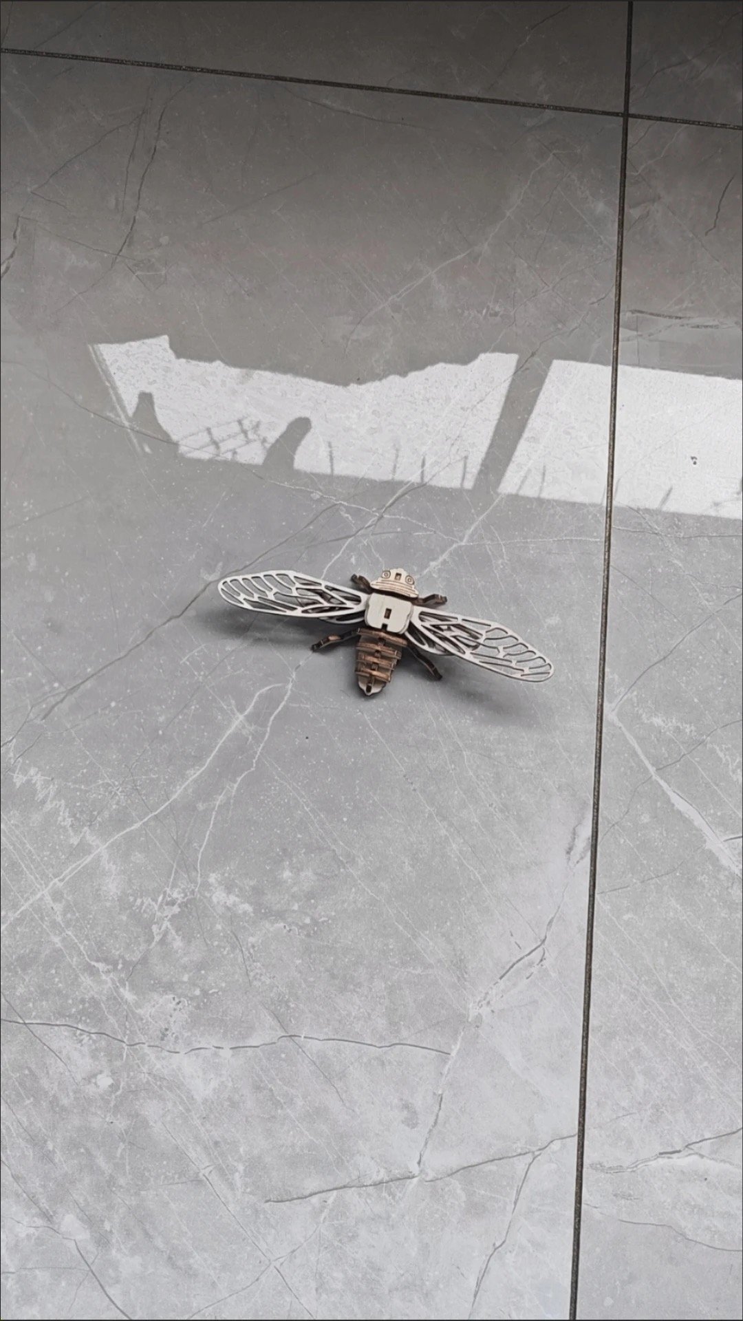 flies flies