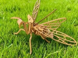 Praying Mantis Model