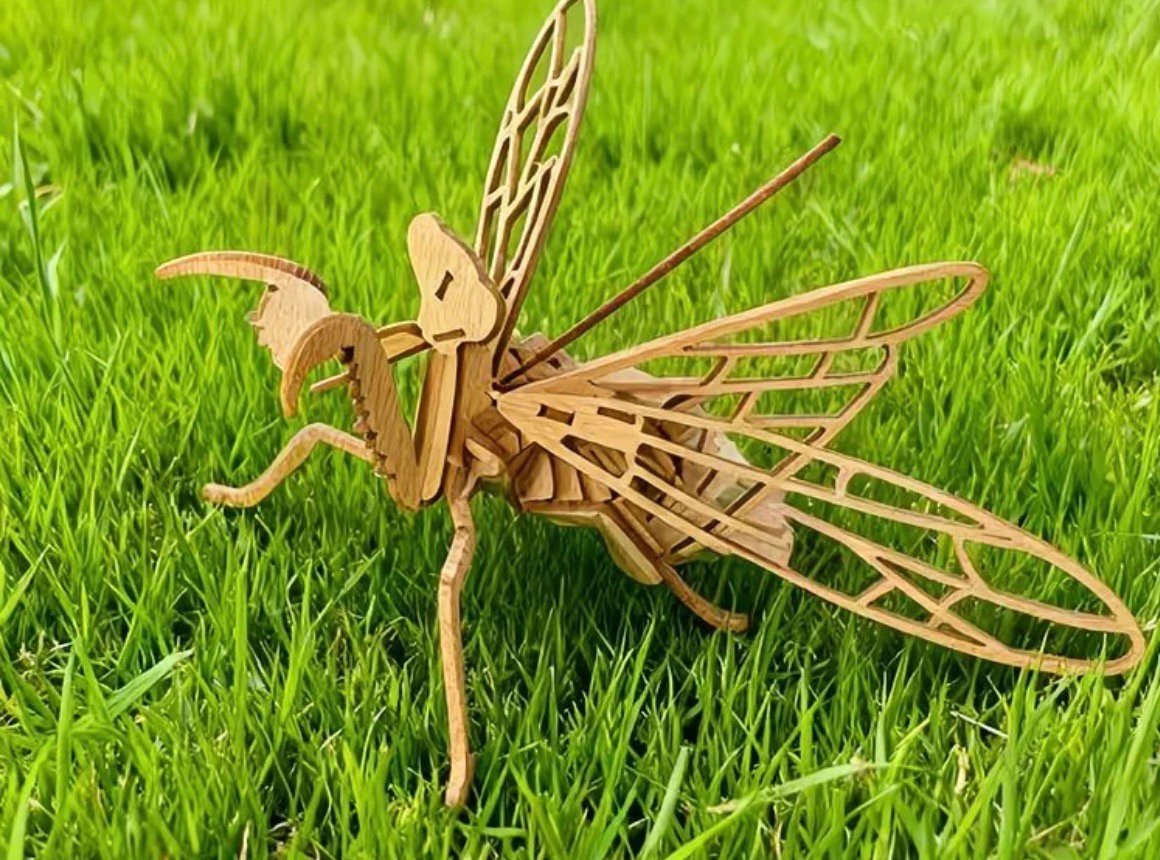 Praying Mantis Model