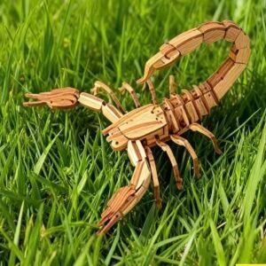 scorpion anatomy model