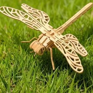 dragonfly anatomy model