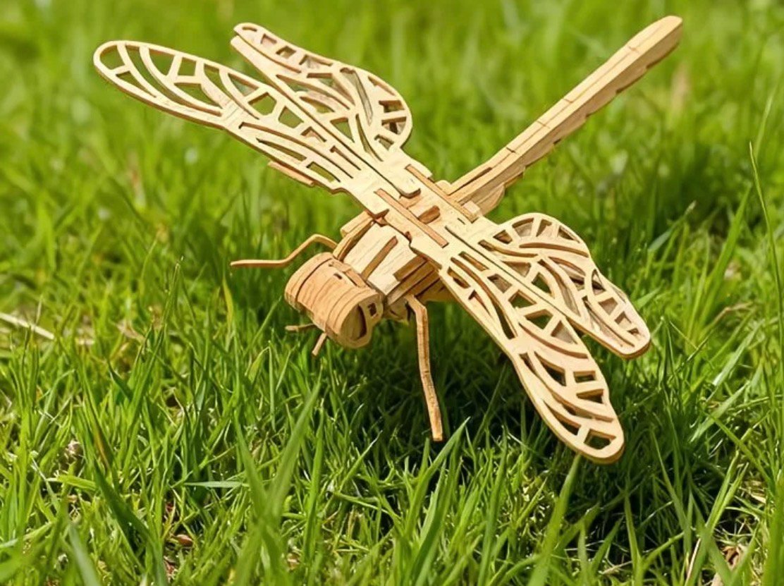 Dragonfly Anatomy Model